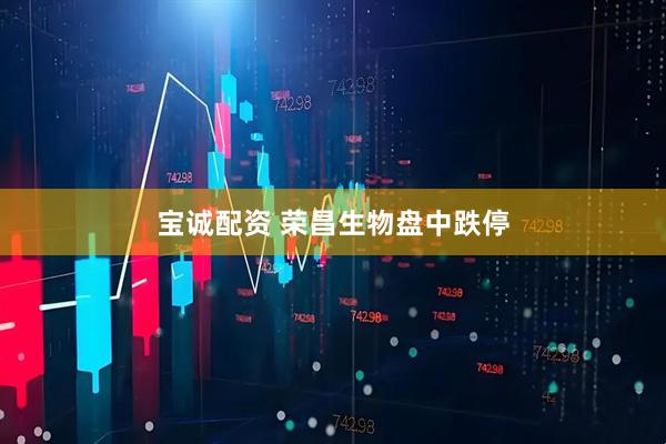 宝诚配资 荣昌生物盘中跌停