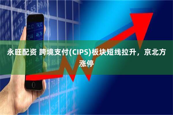 永旺配资 跨境支付(CIPS)板块短线拉升，京北方涨停
