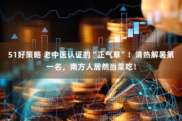 51好策略 老中医认证的“正气草”！清热解暑第一名，南方人居然当菜吃！