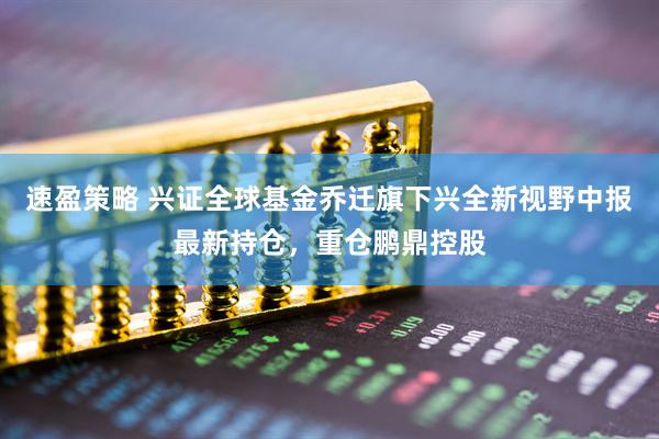 速盈策略 兴证全球基金乔迁旗下兴全新视野中报最新持仓，重仓鹏鼎控股