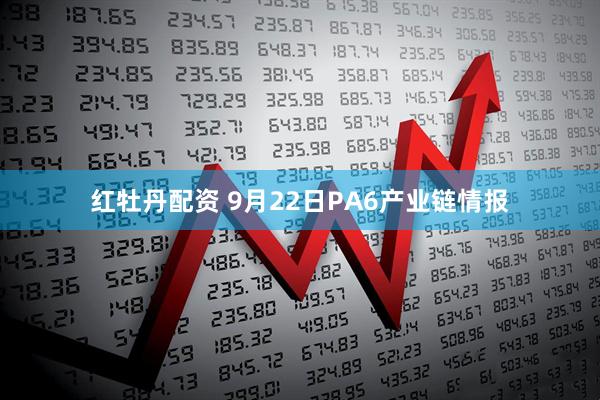 红牡丹配资 9月22日PA6产业链情报