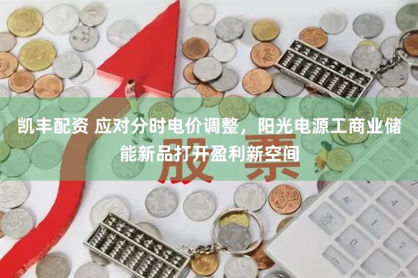 凯丰配资 应对分时电价调整，阳光电源工商业储能新品打开盈利新空间