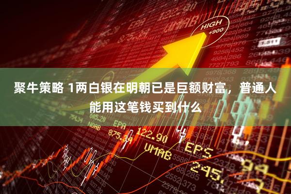 聚牛策略 1两白银在明朝已是巨额财富，普通人能用这笔钱买到什么