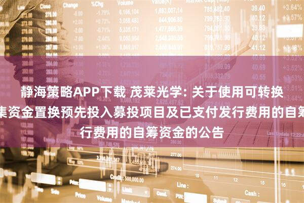静海策略APP下载 茂莱光学: 关于使用可转换公司债券募集资金置换预先投入募投项目及已支付发行费用的自筹资金的公告
