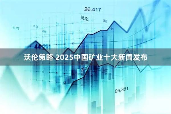 沃伦策略 2025中国矿业十大新闻发布
