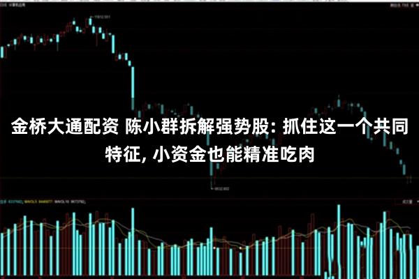 金桥大通配资 陈小群拆解强势股: 抓住这一个共同特征, 小资金也能精准吃肉
